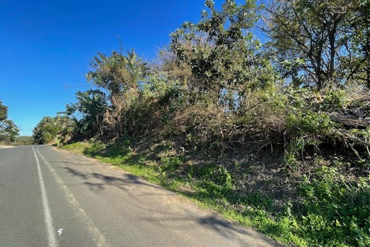 A view of the roadside boundary of the vacant residential land, featuring natural vegetation and established trees along the property edge.
