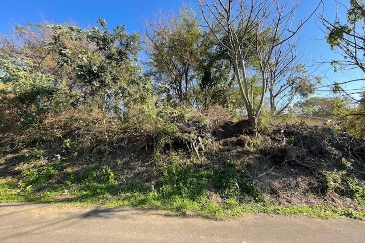 A view of an undeveloped residential plot featuring dense, overgrown vegetation and uneven terrain, situated directly adjacent to a paved road.