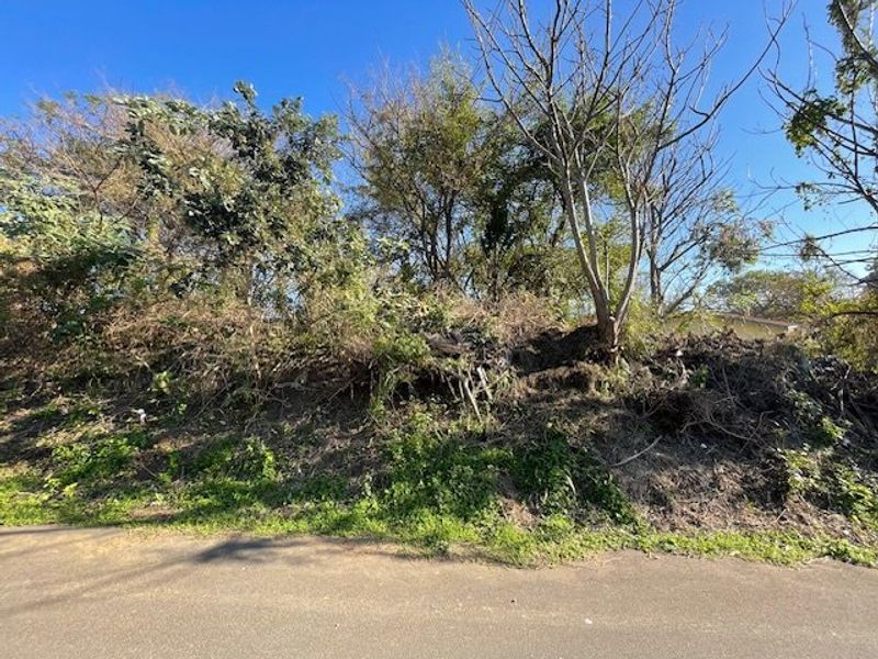 A view of an undeveloped residential plot featuring dense, overgrown vegetation and uneven terrain, situated directly adjacent to a paved road.