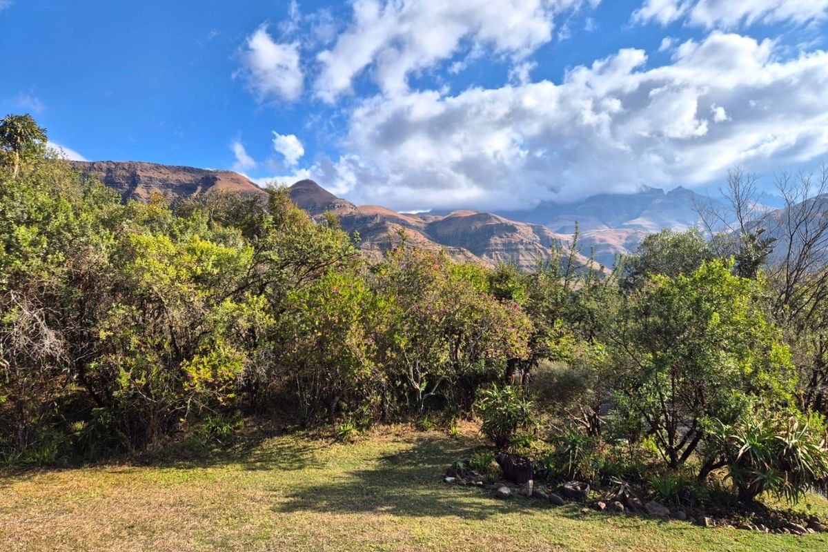 Three to Four Weeks Vacation Home in Fernwood Estate Drakensberg – Where Your Soul Comes Home to Rest - Photo 4