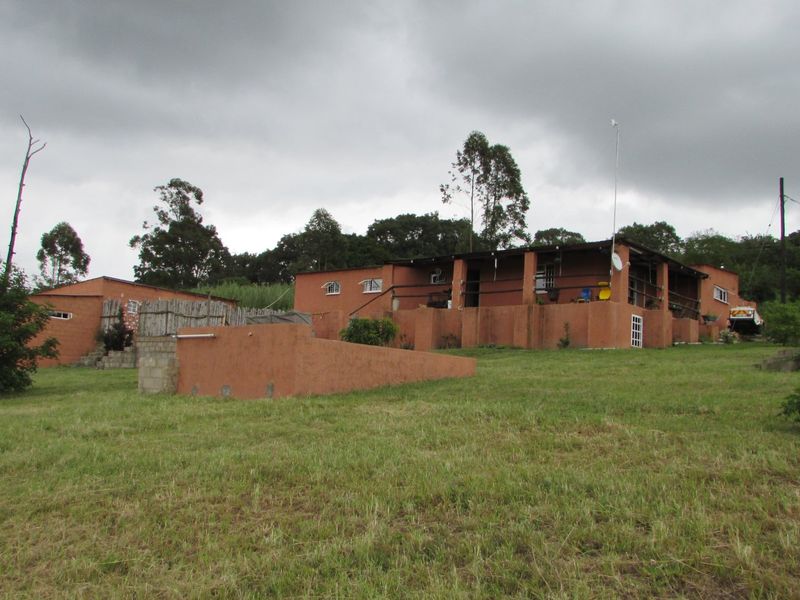 1HA SMALLHOLDING 5KM FROM WHITE RIVER - Photo 2