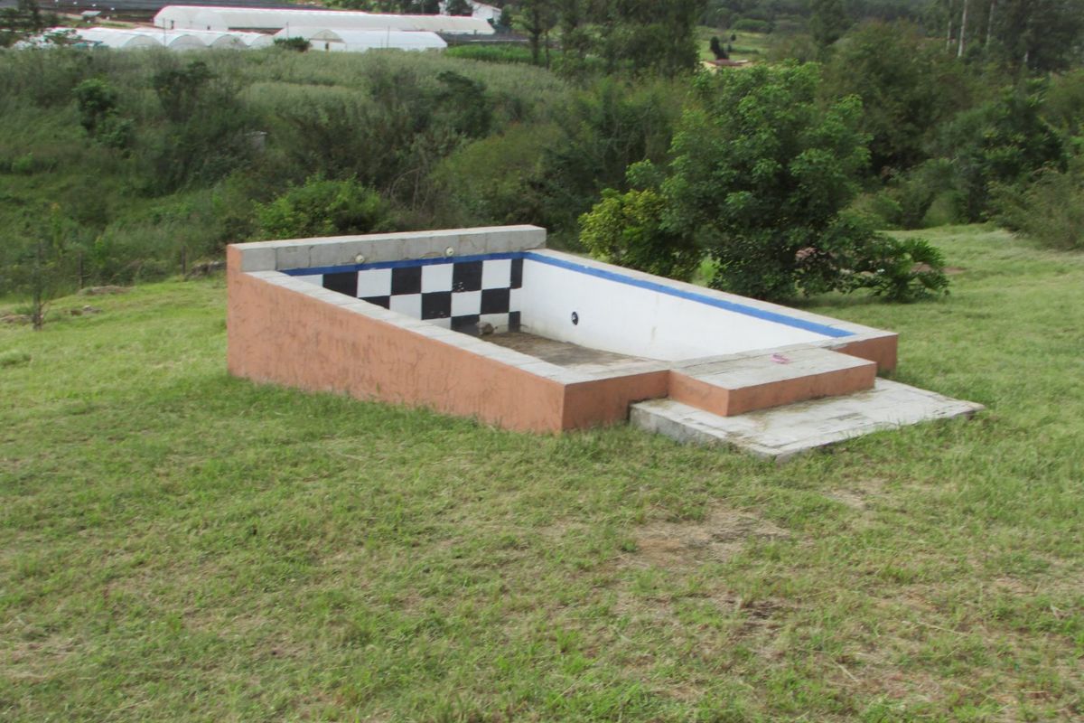 1HA SMALLHOLDING 5KM FROM WHITE RIVER - Photo 5