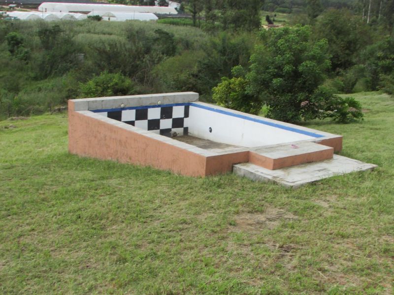 1HA SMALLHOLDING 5KM FROM WHITE RIVER - Photo 5