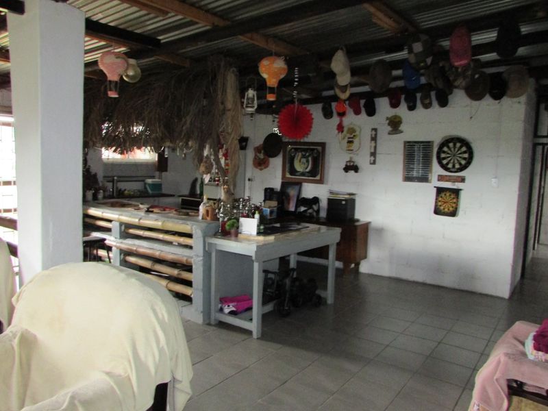 1HA SMALLHOLDING 5KM FROM WHITE RIVER - Photo 10