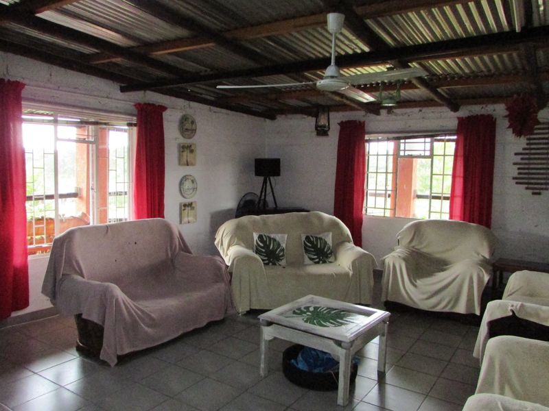 1HA SMALLHOLDING 5KM FROM WHITE RIVER - Photo 9