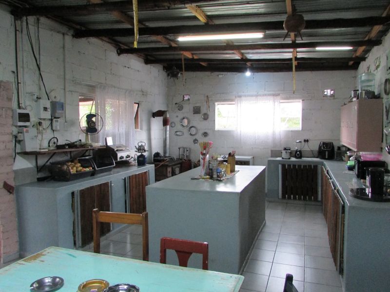 1HA SMALLHOLDING 5KM FROM WHITE RIVER - Photo 8