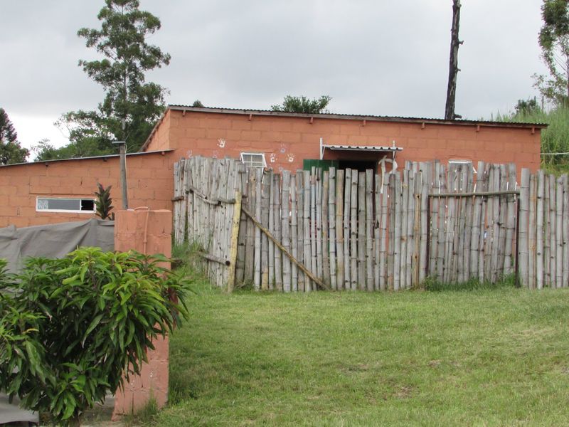 1HA SMALLHOLDING 5KM FROM WHITE RIVER - Photo 4