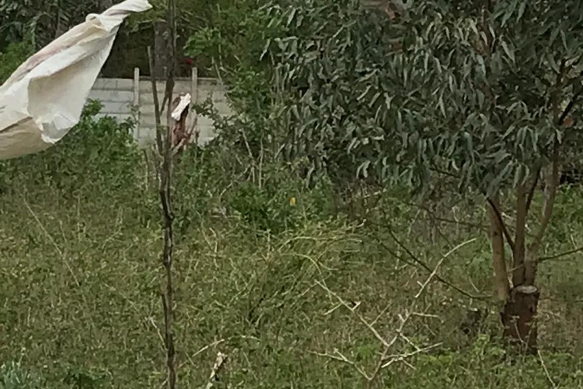 vacant land for sale in Alexandria - Photo 3