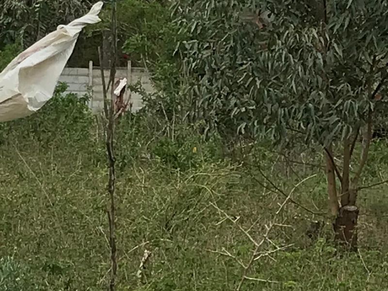 vacant land for sale in Alexandria - Photo 3