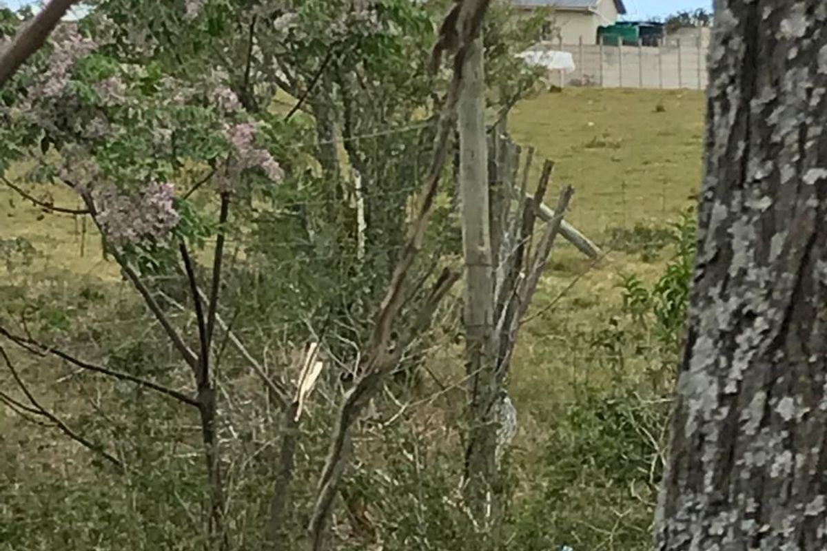 vacant land for sale in Alexandria - Photo 5