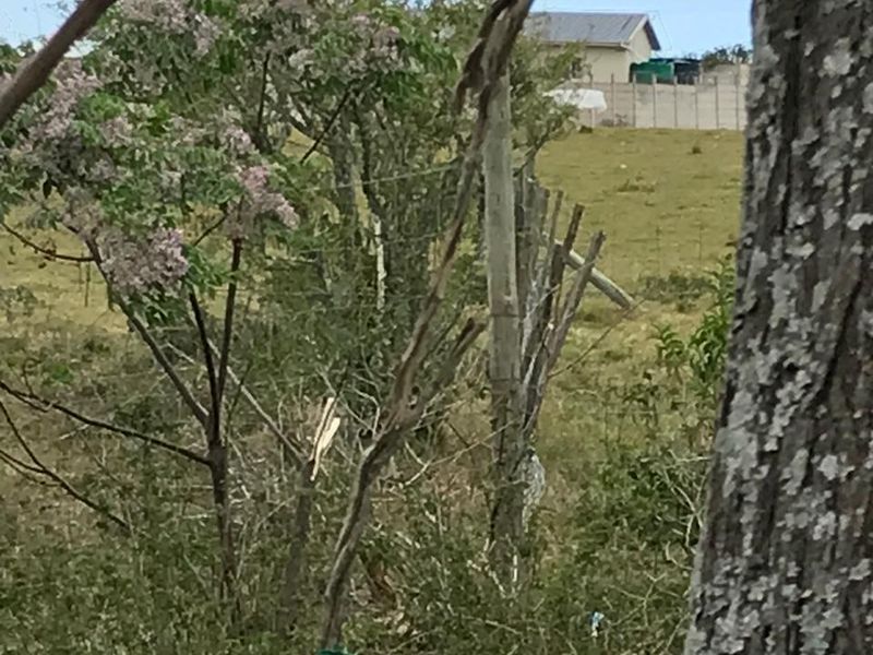 vacant land for sale in Alexandria - Photo 5