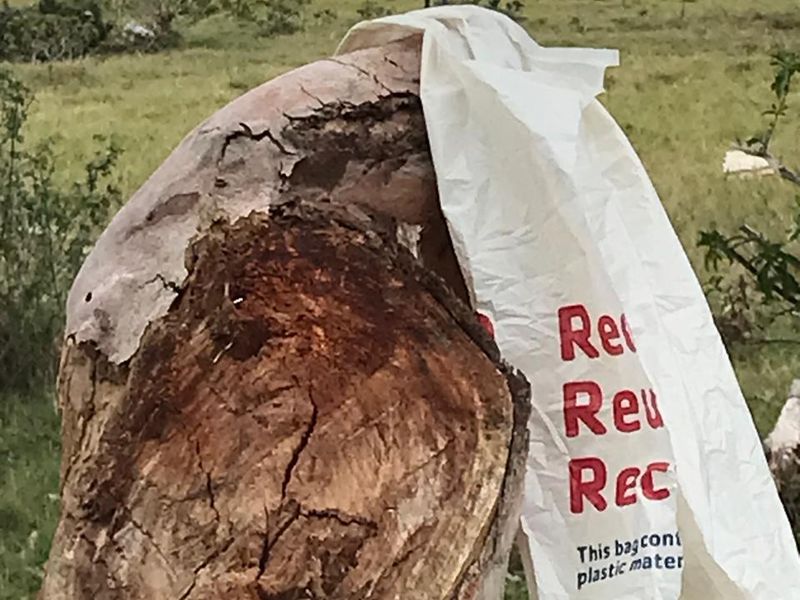 vacant land for sale in Alexandria - Photo 6