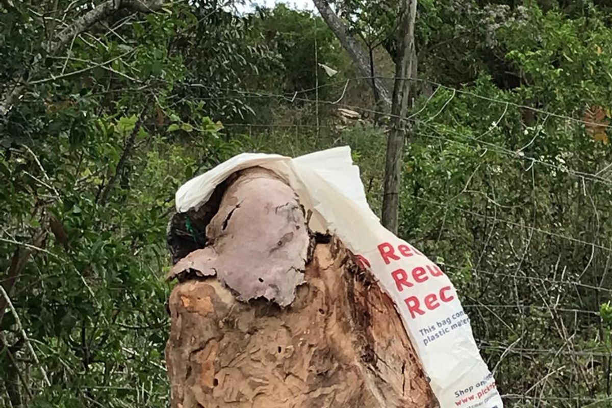 vacant land for sale in Alexandria - Photo 4