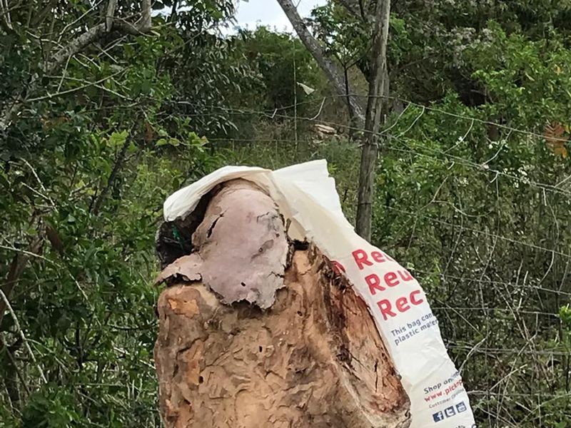 vacant land for sale in Alexandria - Photo 4