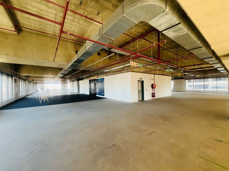 P-Grade Commercial Office Space – 4,879m2 | Prime Sandton CBD - Photo 6