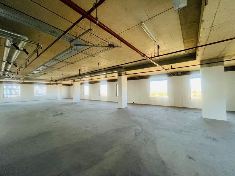 P-Grade Commercial Office Space – 1,816m2 | Prime Sandton CBD - Photo 5
