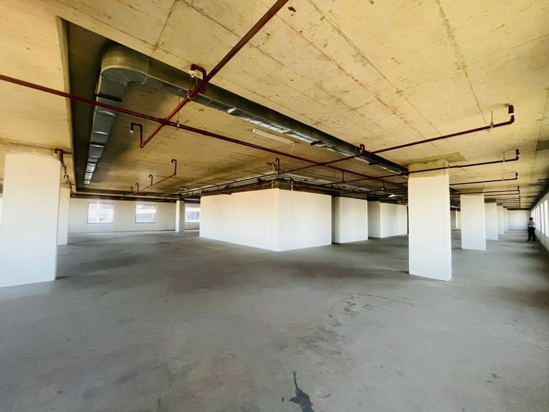 P-Grade Commercial Office Space – 1,816m2 | Prime Sandton CBD - Photo 9