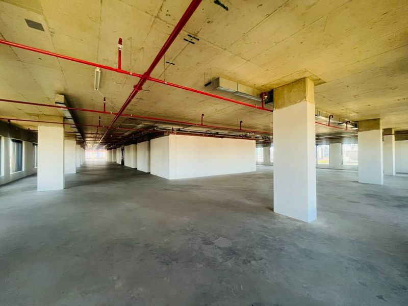 P-Grade Commercial Office Space – 1,827m2 | Prime Sandton CBD - Photo 5