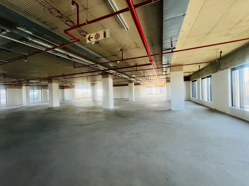 P-Grade Commercial Office Space – 1,827m2 | Prime Sandton CBD - Photo 8