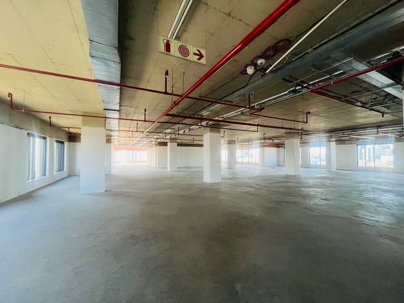 P-Grade Commercial Office Space – 1,827m2 | Prime Sandton CBD - Photo 6