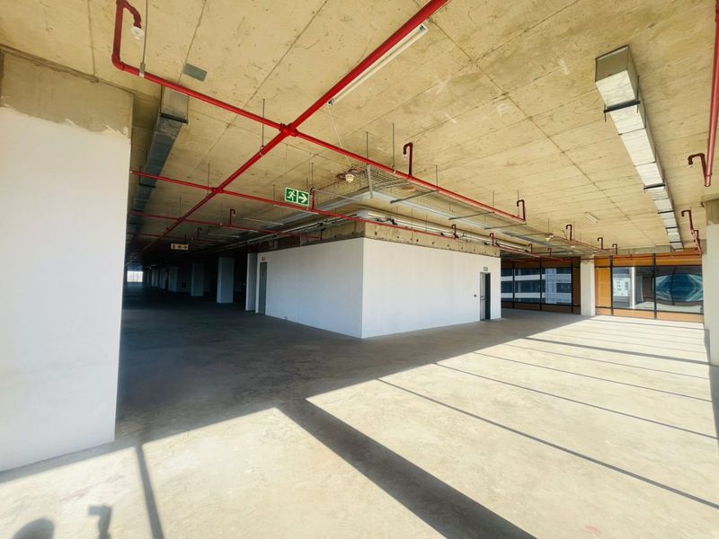 P-Grade Commercial Office Space – 1,827m2 | Prime Sandton CBD - Photo 4