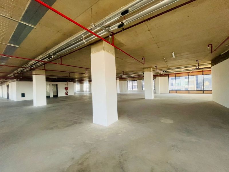 P-Grade Commercial Office Space – 1,827m2 | Prime Sandton CBD - Photo 3