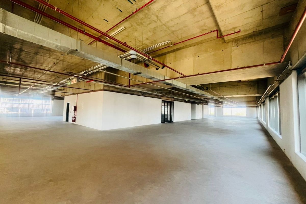 P-Grade Commercial Office Space – 1,236m2 | Prime Sandton CBD - Photo 4