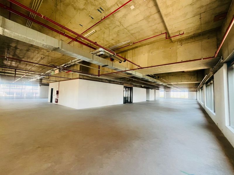 P-Grade Commercial Office Space – 1,236m2 | Prime Sandton CBD - Photo 4