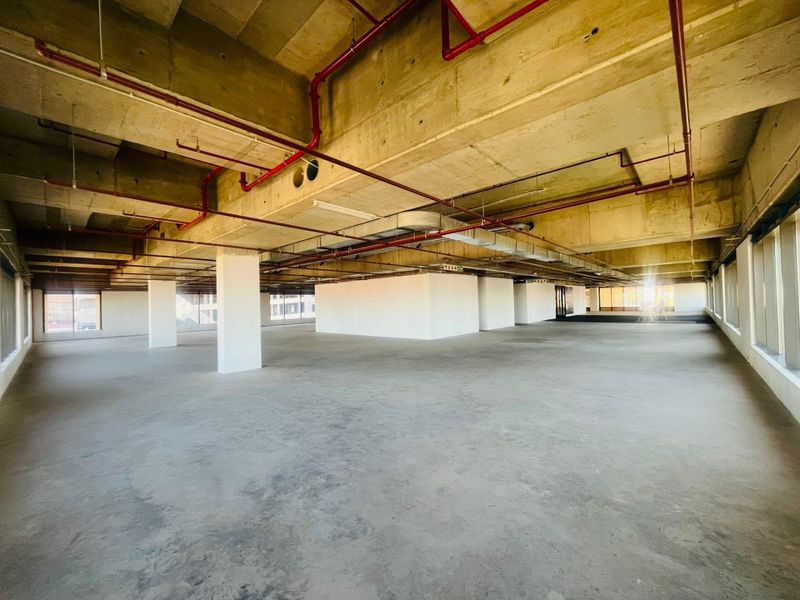 P-Grade Commercial Office Space – 1,236m2 | Prime Sandton CBD - Photo 10
