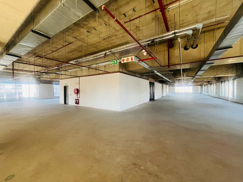 P-Grade Commercial Office Space – 1,236m2 | Prime Sandton CBD - Photo 9