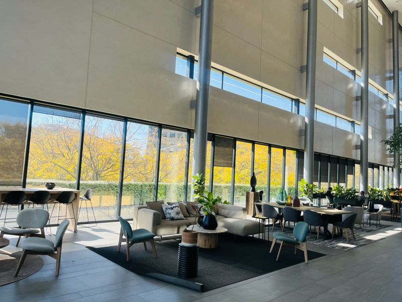 Grade P Office Space To Let | 673 sqm | Prime Rosebank Location - Photo 5