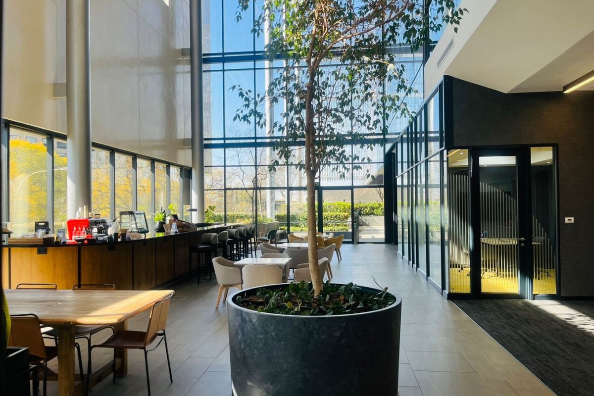 Grade P Office Space To Let | 673 sqm | Prime Rosebank Location - Photo 4