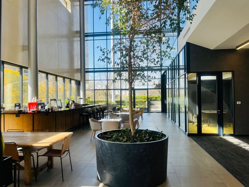 Grade P Office Space To Let | 673 sqm | Prime Rosebank Location - Photo 4