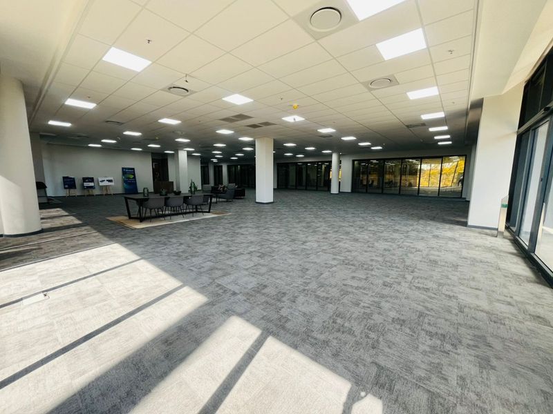 Grade P Office Space To Let | 673 sqm | Prime Rosebank Location - Photo 7