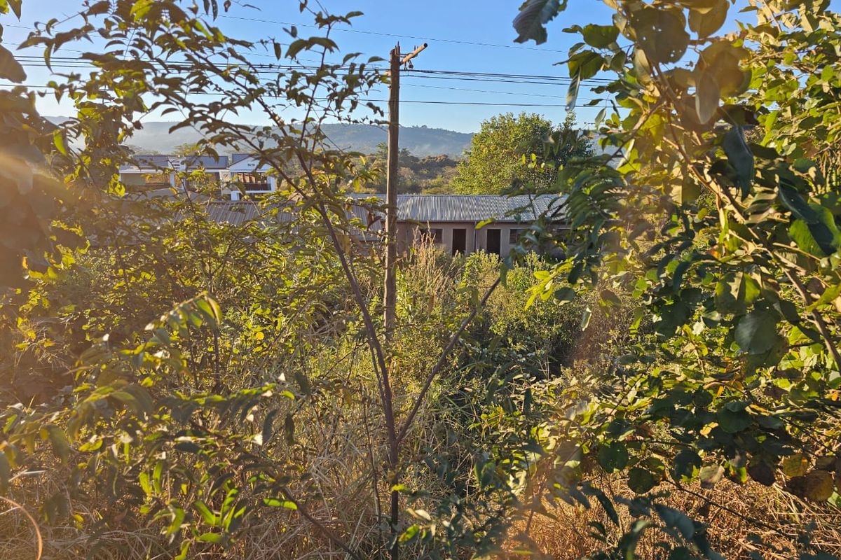 4484 m2 STAND ON PUNDA MARIA ROAD - Photo 4