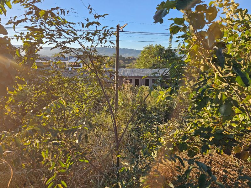4484 m2 STAND ON PUNDA MARIA ROAD - Photo 4