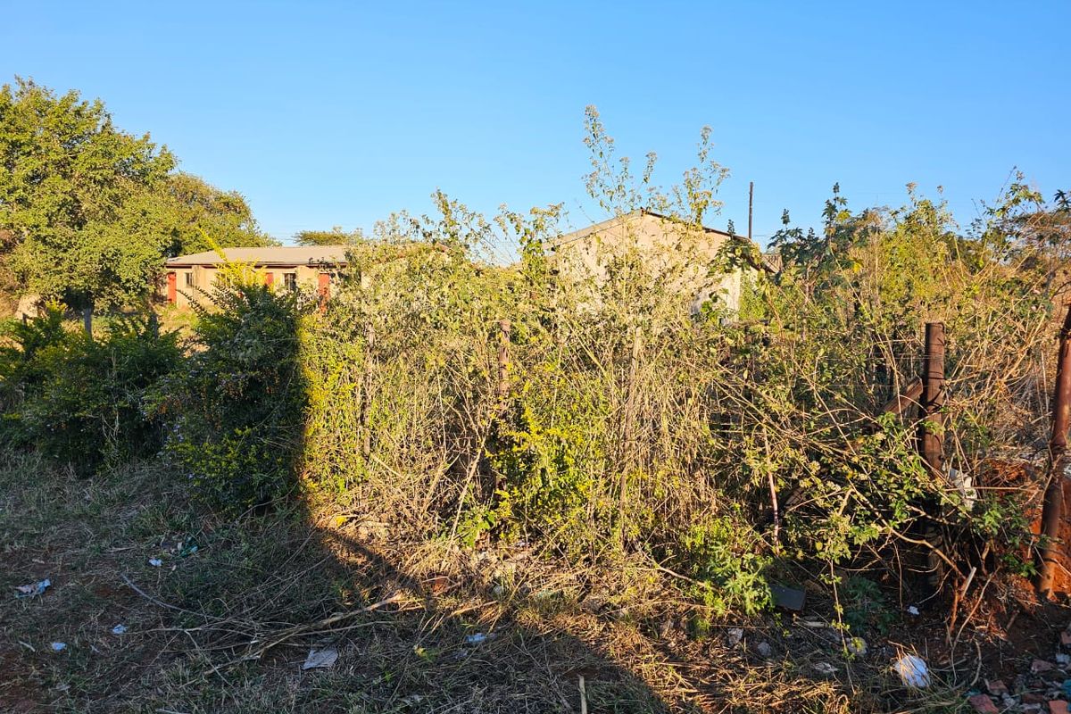 4484 m2 STAND ON PUNDA MARIA ROAD - Photo 5