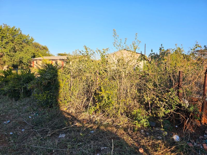 4484 m2 STAND ON PUNDA MARIA ROAD - Photo 5