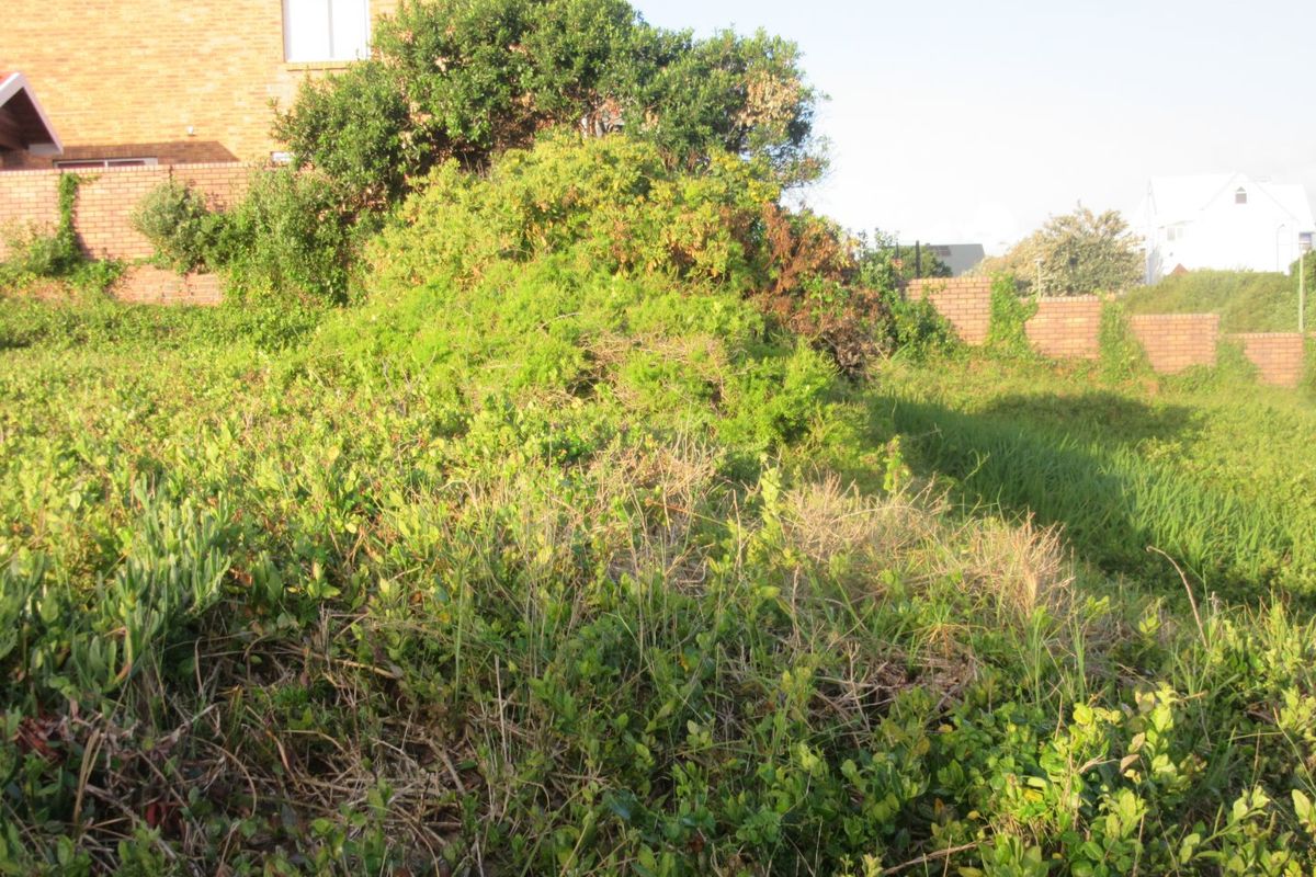 Beautiful Opportunity to build your dream home near ocean  - Photo 5