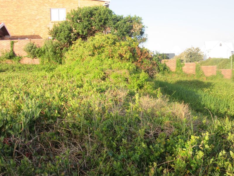 Beautiful Opportunity to build your dream home near ocean  - Photo 5