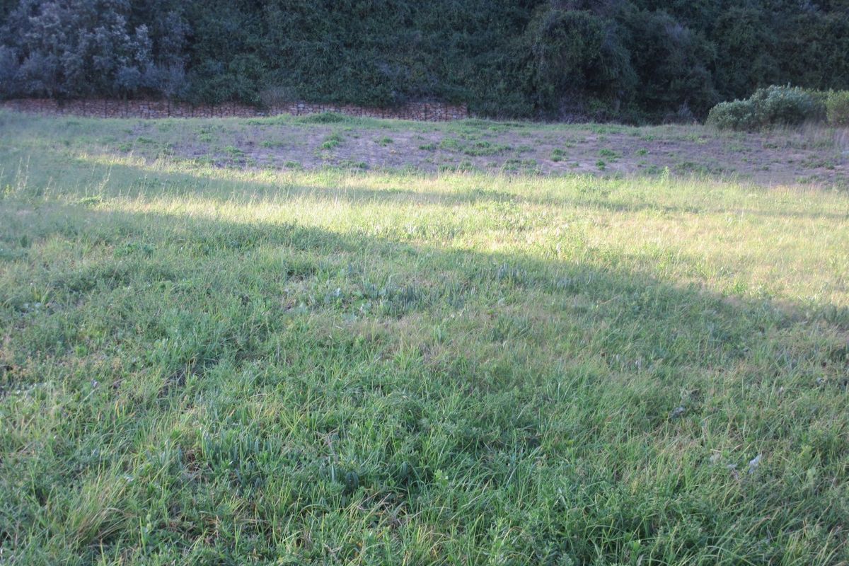 Beautiful Opportunity to build your dream home near ocean  - Photo 2