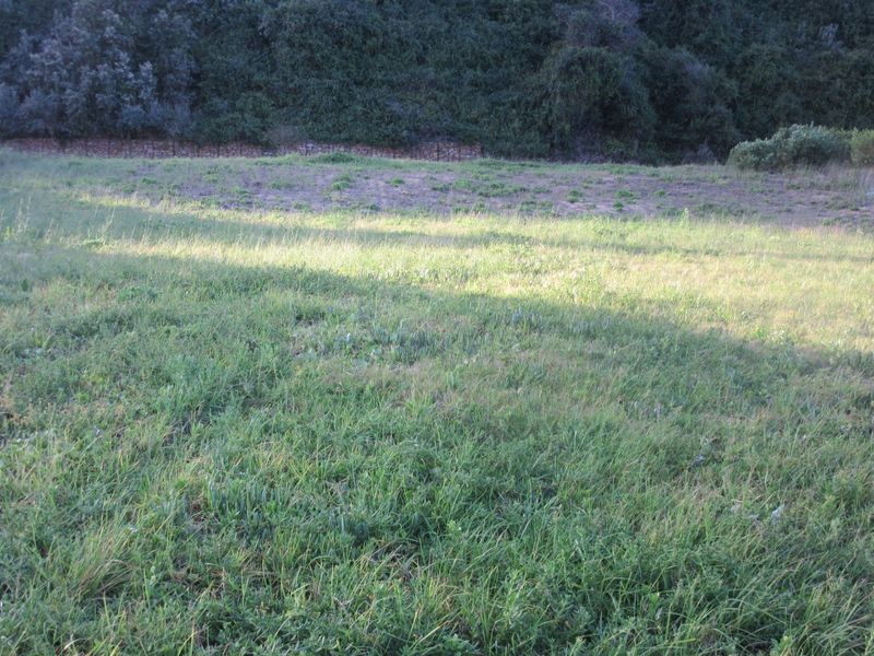 Beautiful Opportunity to build your dream home near ocean  - Photo 2