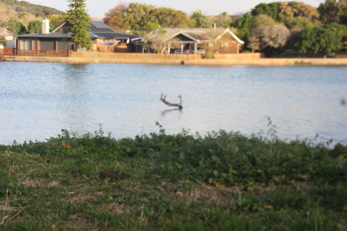 A scenic view overlooking a calm lake with residential properties visible on the opposite bank.