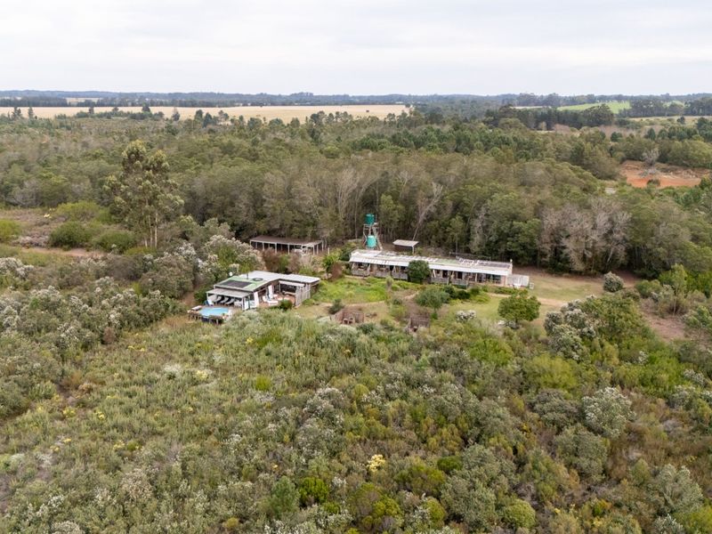 Nature retreat near Plettenberg Bay  - Photo 3