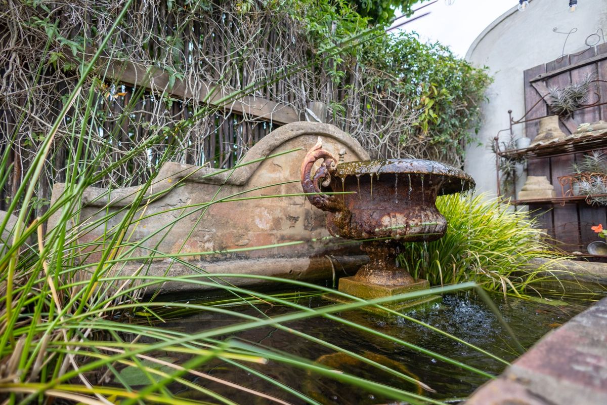 Nature retreat near Plettenberg Bay  - Photo 5