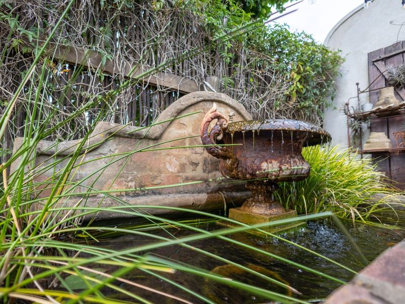 Nature retreat near Plettenberg Bay  - Photo 5