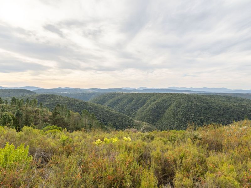 A scenic, elevated landscape view overlooking rolling hills, dense forest, and distant mountain ranges.