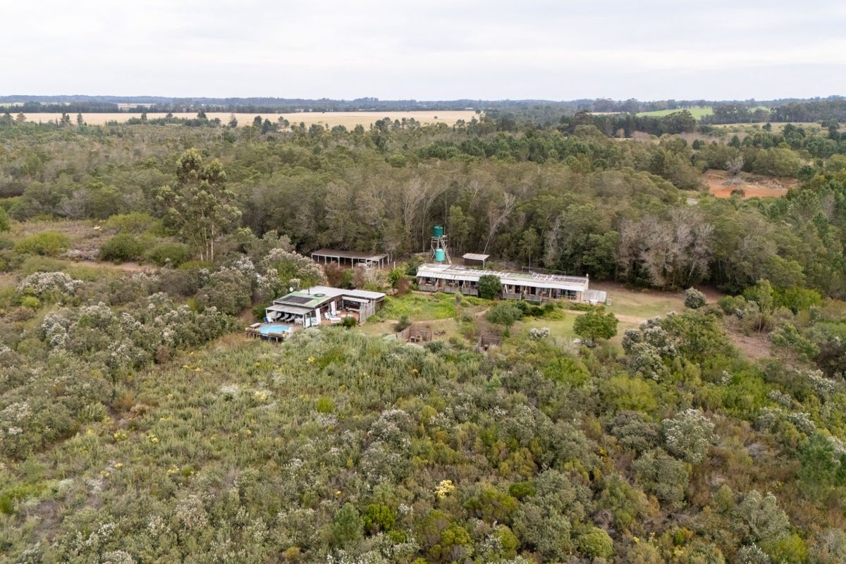 Aerial view of a rural farm property featuring multiple structures, a swimming pool, and extensive surrounding woodland.