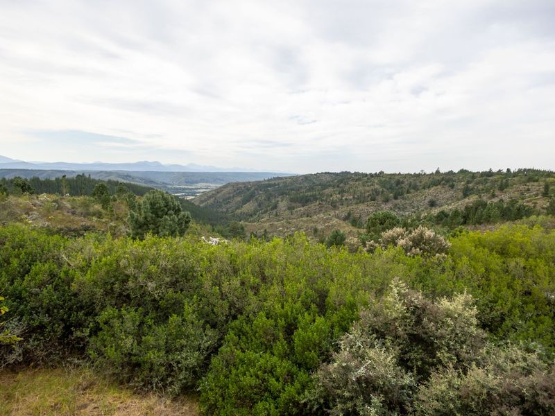 Country Escape near Plettenberg Bay - Photo 4