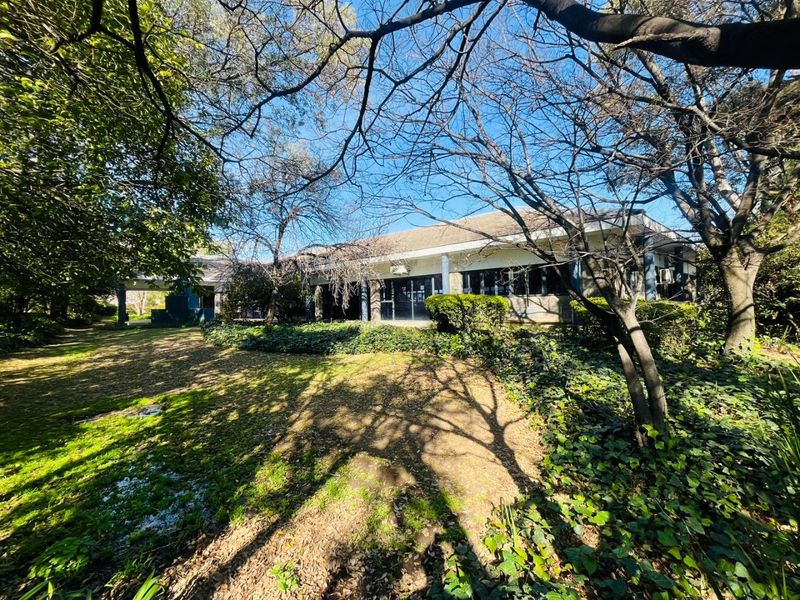 Office Space to Let | Woodmead Office Park | 726m2 - Photo 4